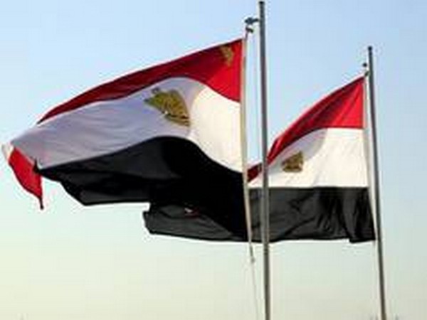 Egypt's private sector to sell $120-200 mln in green bonds-planning minister