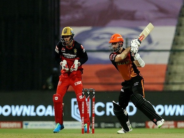 IPL 2021: Sehwag bats for Williamson's inclusion in playing XI after loss against RCB