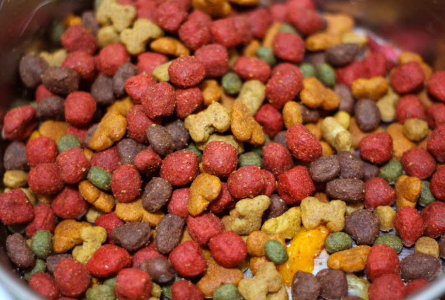 India facing pet food shortages; govt urges industry to boost production
