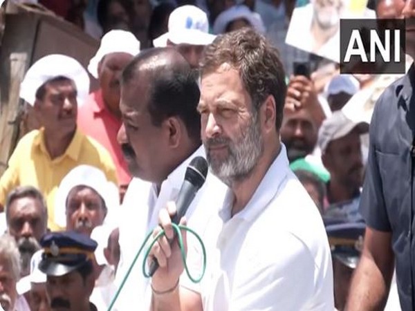 "To say that your language is inferior to Hindi is insult," Rahul Gandhi in Kerala accuses BJP, RSS of Hindi chauvinism