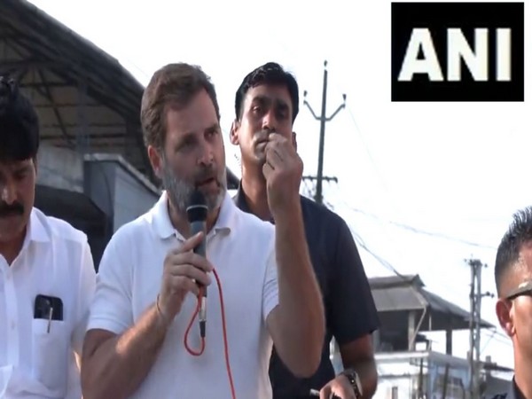 "Congress will not let RSS change Constitution": Rahul Gandhi 