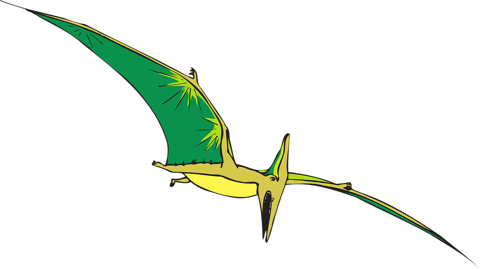 Researchers unearth new species of flying dinosaur