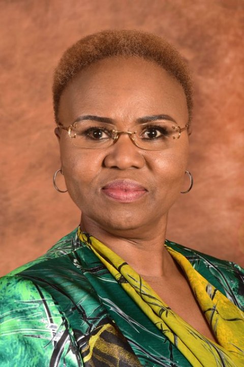 Lindiwe Zulu pays special tribute to social workers serving nation