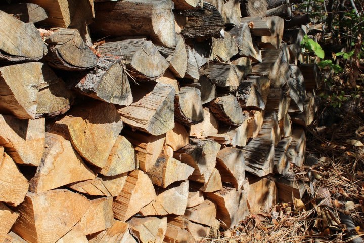 Govt to further strengthen wood processing sector