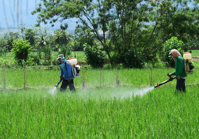 UNDP supports effort to boost sustainable agriculture in Philippines 