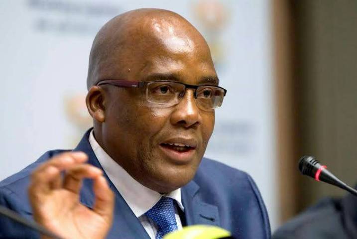 Home Minister approves essential travel for South Africans