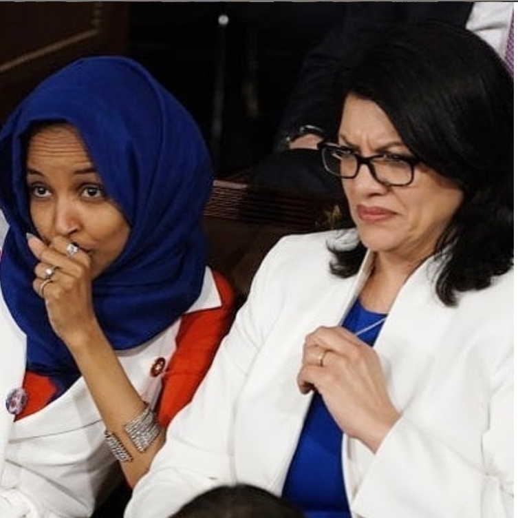 Israel blocks US lawmakers Omar and Tlaib from entering its territory