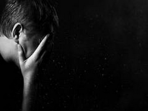 How chronic stress impacts behaviour, causes depression found
