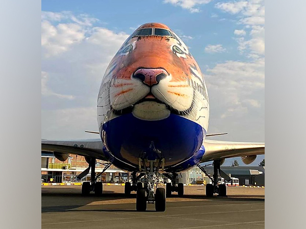 Tiger-faced customised jet reaches Namibia to bring cheetahs to India