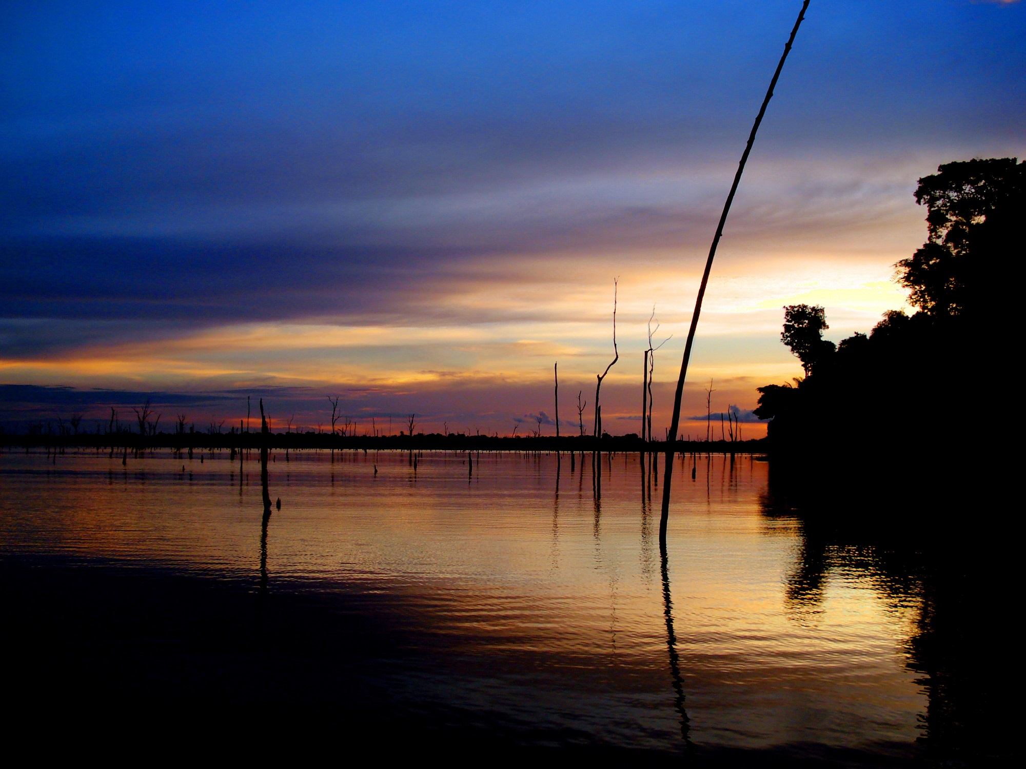 A dam built in the Amazon created thousands of ‘forest islands’ but they are too small to sustain most species