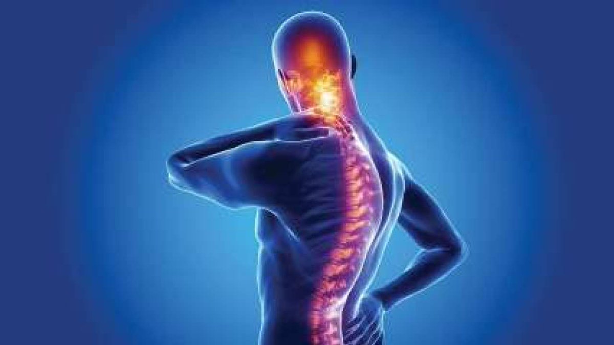 Researchers examine patterns of back pain in relation to disability