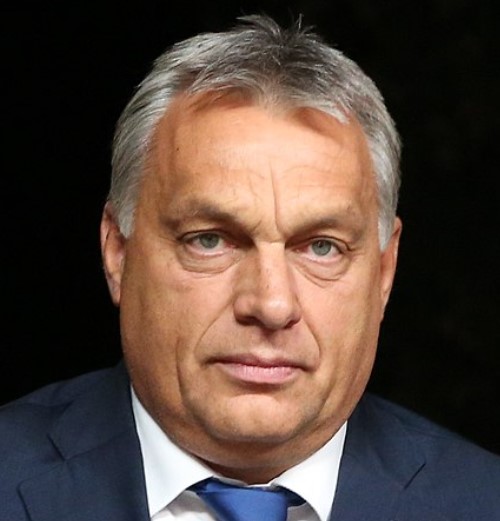 UPDATE 1-Hungary PM says European conservatives losing influence, flags new party grouping