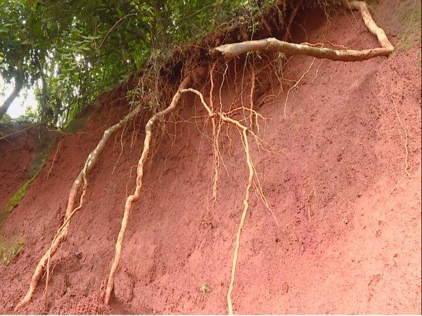 Karnataka: Landslide threat looms in Western Ghats due to loss of forest cover