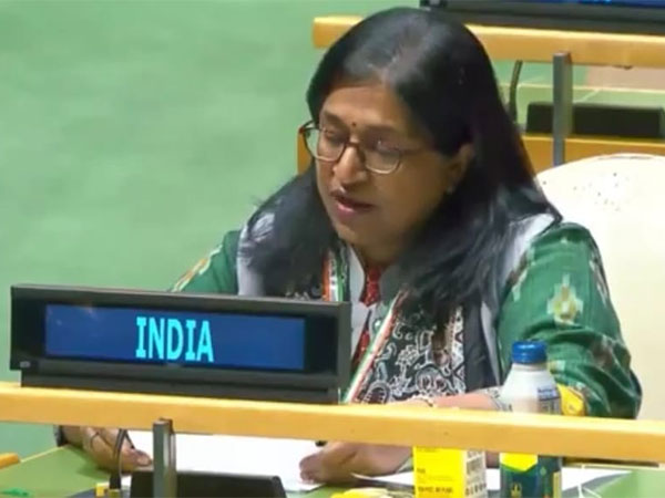 India's UN Envoy Champions Africa's Development at General Assembly