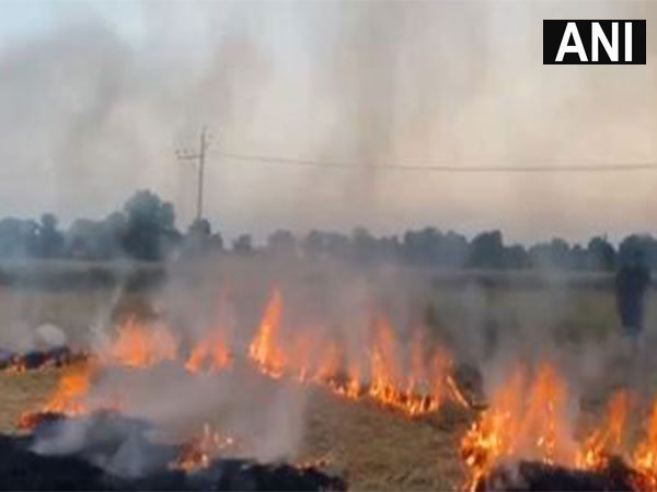 Sanjay Singh Criticizes UP Government on Bahraich Violence