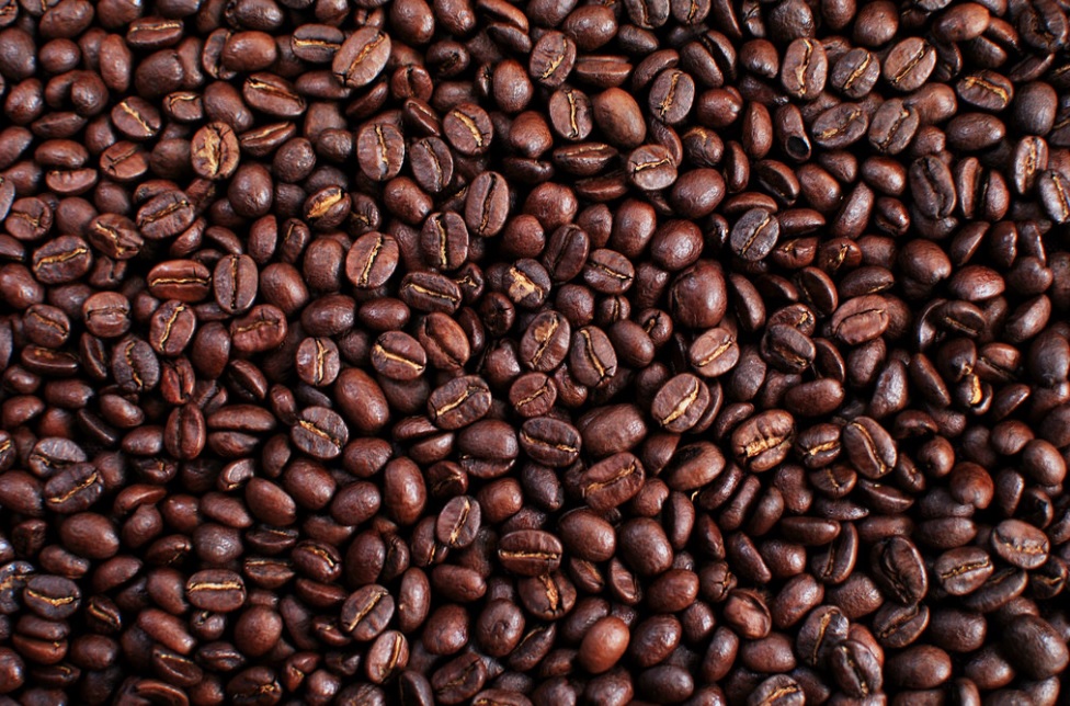 Habitat loss, climate change pose grave threat to wild coffee species