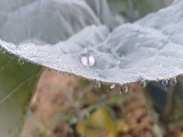 Severe Cold Wave Strikes Northern Odisha as India Braces for Chilling Temperatures