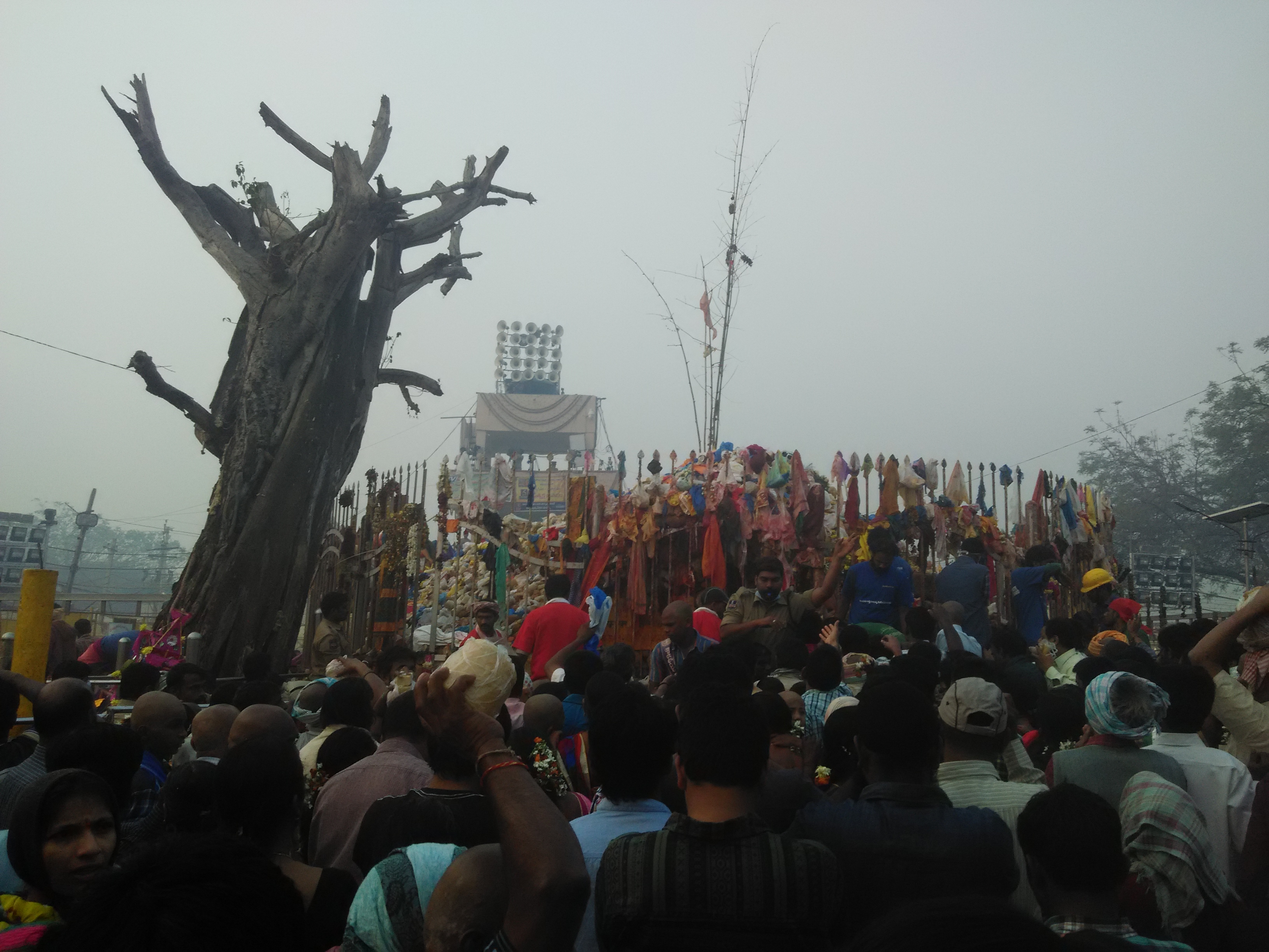 Mega tribal festival 'Medaram Jatara' begins in Telangana