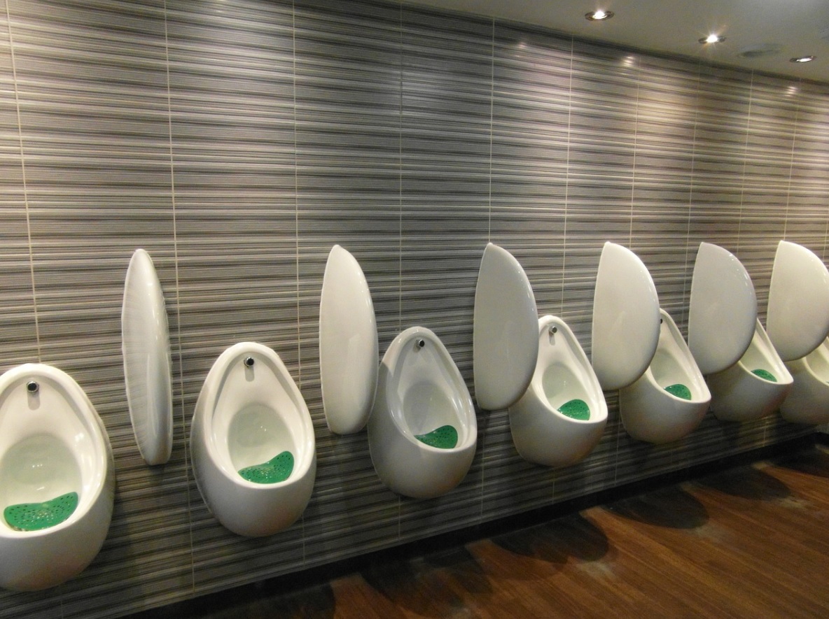 New 'smart toilets' may help test urine: Study
