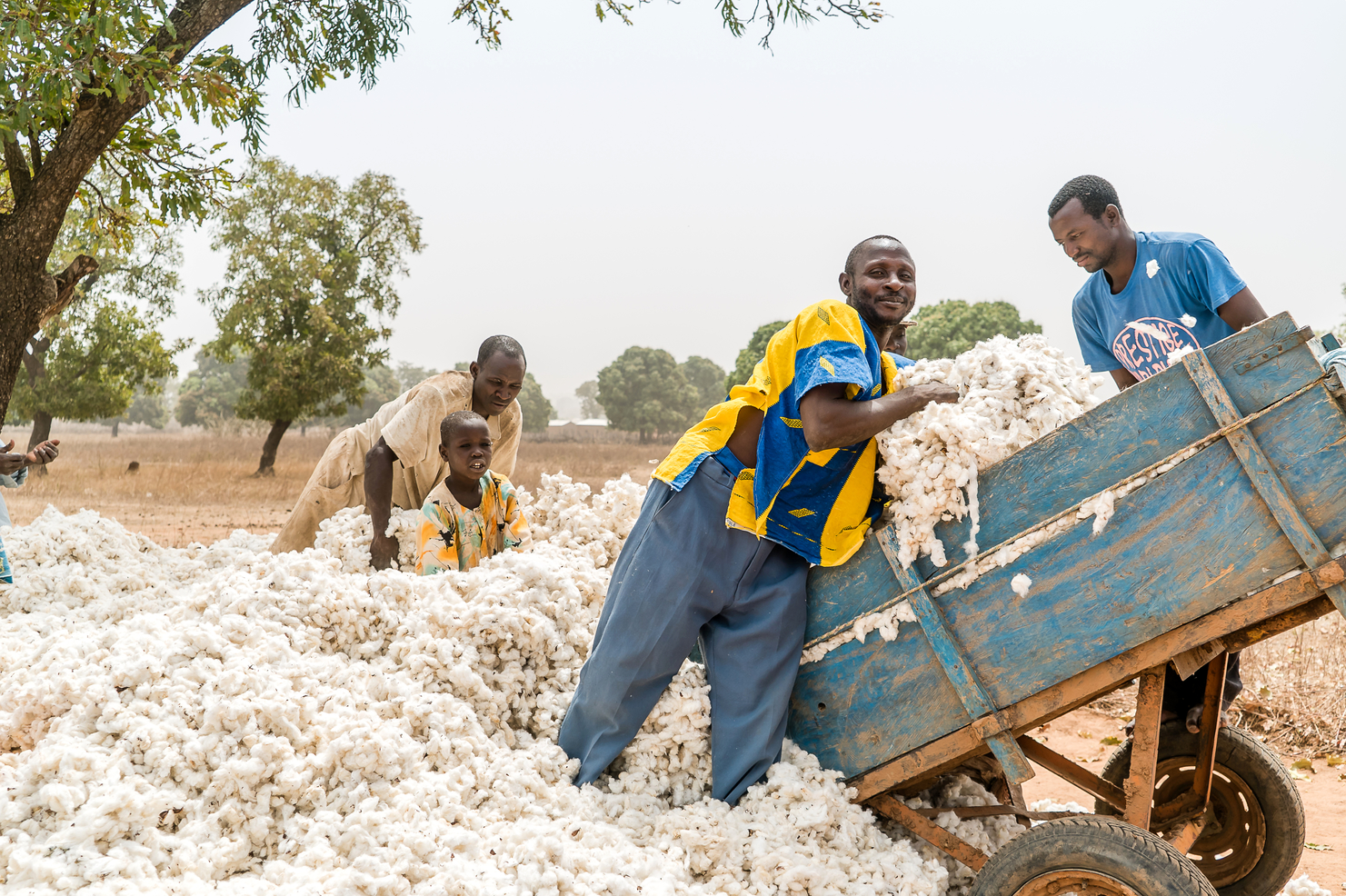 FEATURE-As Mali fights coronavirus, cotton farmers fear loss of climate aid