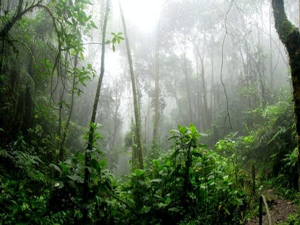 Brazil: Suspect confesses to killing 2 men missing in Amazon