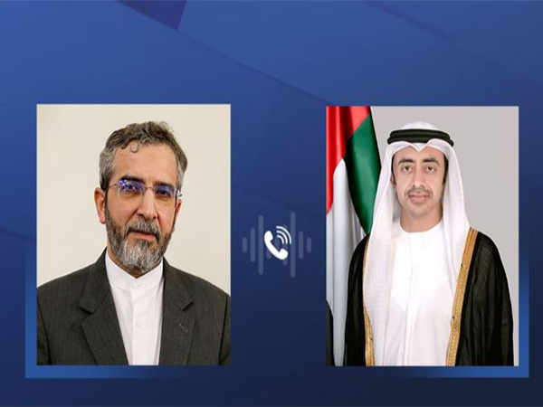 Abdullah bin Zayed, Iran's Acting Foreign Minister discuss bilateral relations over phone