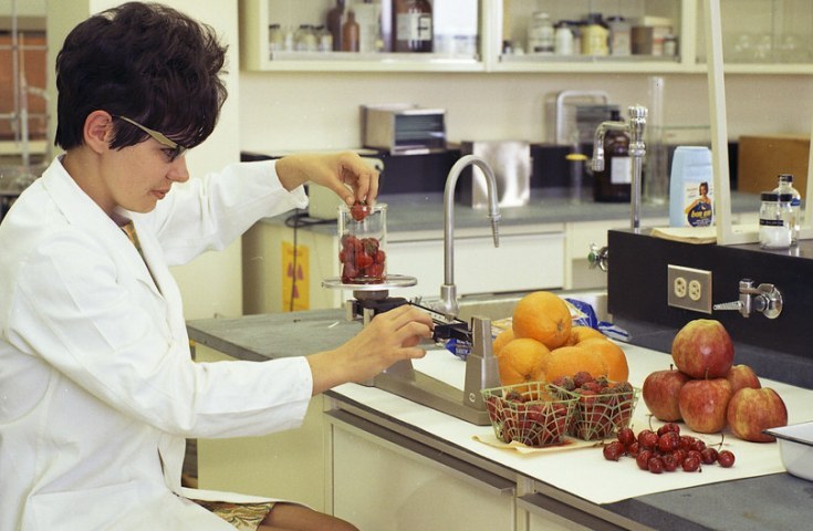 IAEA, FAO supporting global labs to help control chemical residues in foods