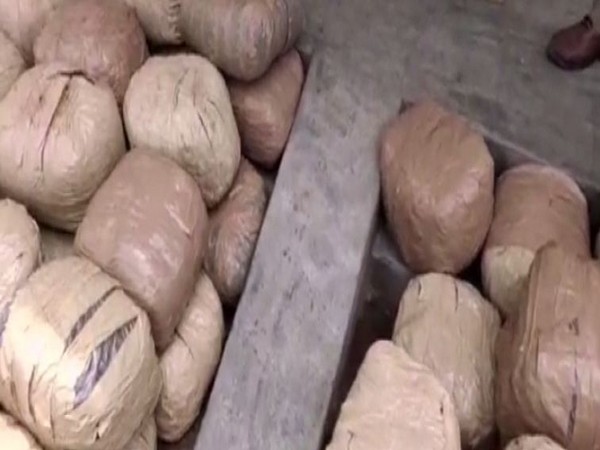 Chhattisgarh: 390 kg cannabis worth Rs 78 lakh seized, 2 held