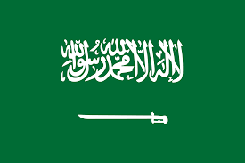 UPDATE 1-Saudi Arabia deployed Twitter army against critics -NY Times