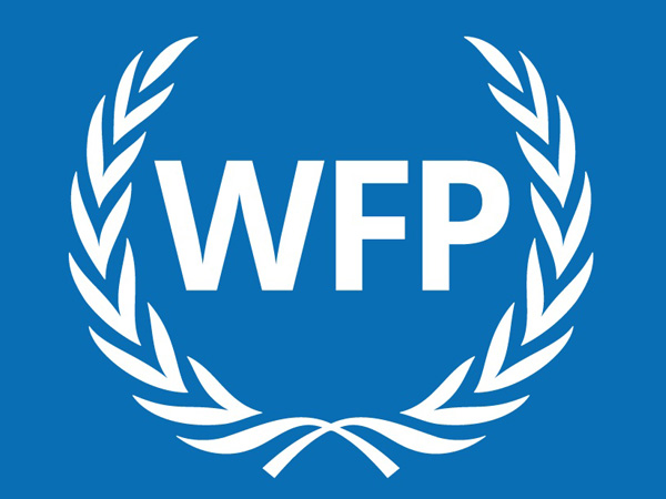 Displaced families in northeast Nigeria 'knocking on door of starvation': WFP