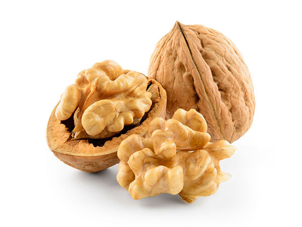 Chilean Walnuts Bring Festive Cheer to India