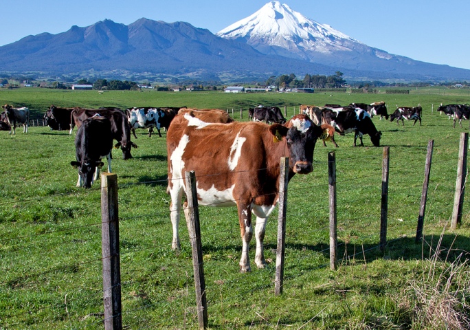 New Zealand Biosecurity Awards – Winners announced
