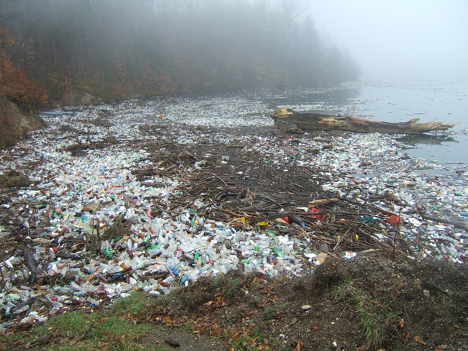 Indonesia lacks recycling culture, awareness to clean marine plastic debris