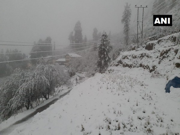 Mandhol village in Shimla receives snowfall 