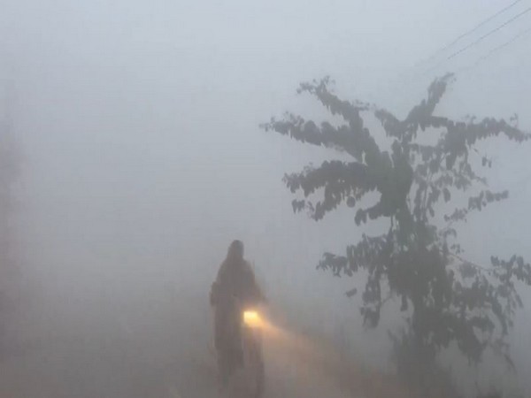 Smog Strikes: Visibility Drops in North India as Air Quality Worsens