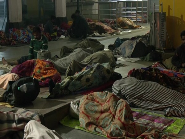 Battling the Chill: Delhi's Night Shelters Offer Respite Amid Cold Wave