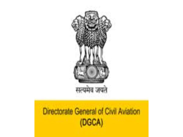 Domestic air passenger traffic up by 2.20 pc in Jan 2020, says DGCA