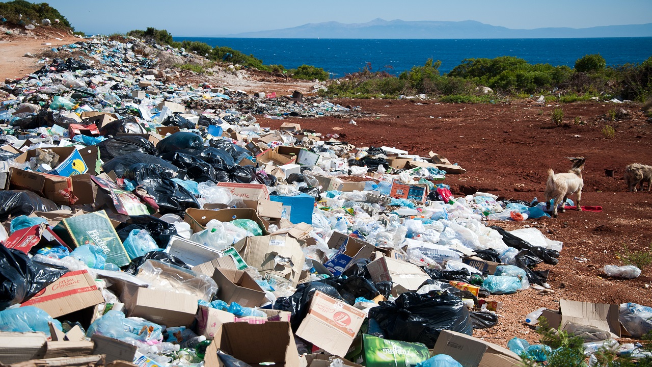 Plastic Pollution Solutions: Innovations for a Sustainable Future