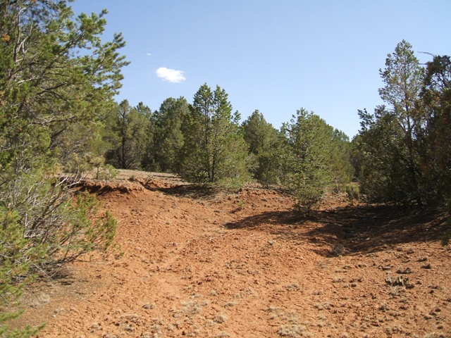 What’s desertification? Experts hopeful devastating trend can be reversed