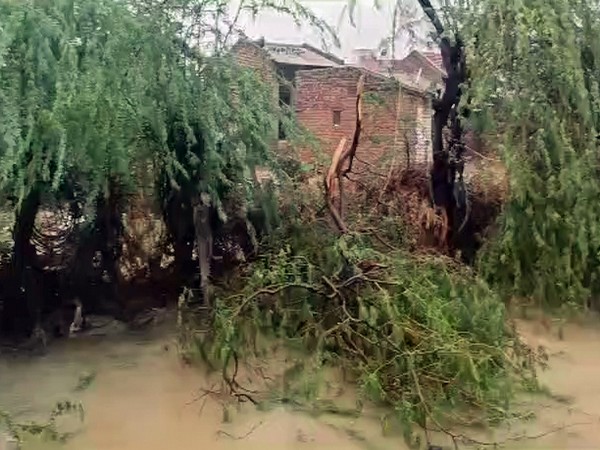 Farmers in Kutch's Bhuj suffer huge losses due to cyclone Biparjoy