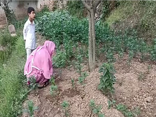 Women Boost Self-Reliance Through Marigold Farming in Ramban, J&K