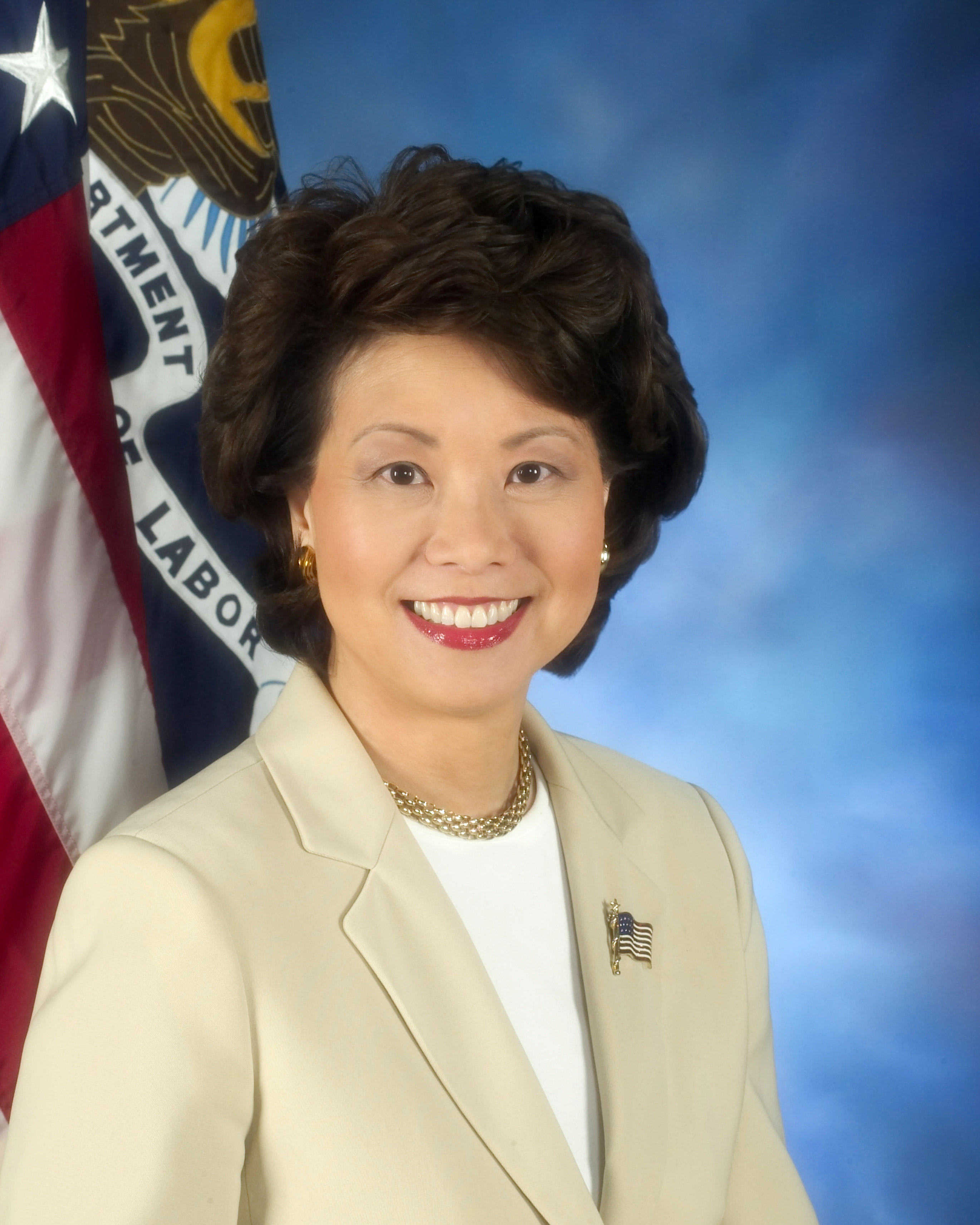 U.S. House panel launches investigation of transportation chief Chao
