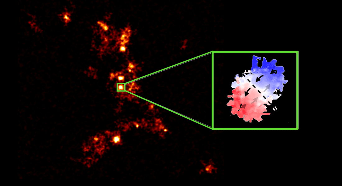 Astronomers discover a swarm of galaxies orbiting vigorously star-forming galaxy in the early Universe