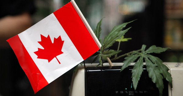 Canada legalizes "Cannabis" sale and use