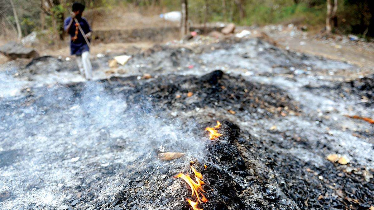 Why Punjab farmers continue to defy govt's practice to check stubble burning? 