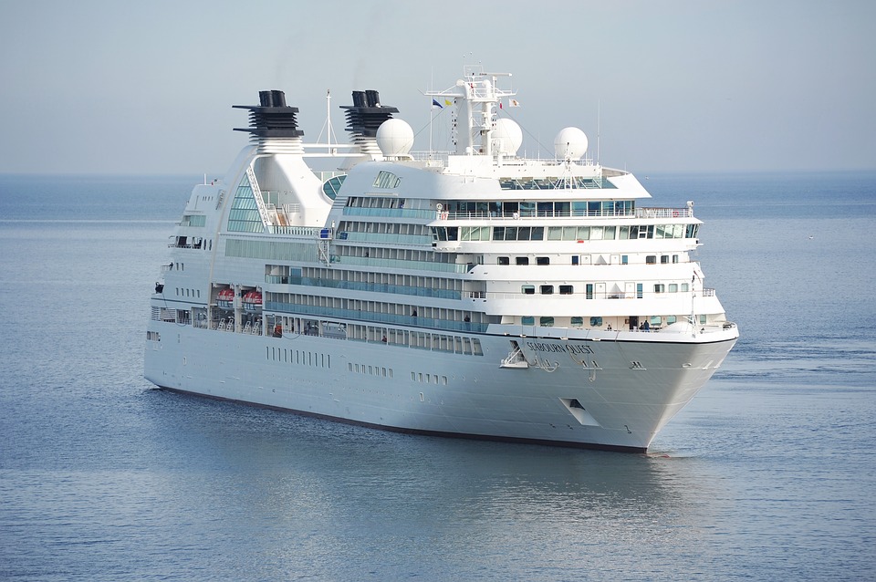Making efforts to disembark Indians from cruise ship after quarantine period ends: Indian Embassy