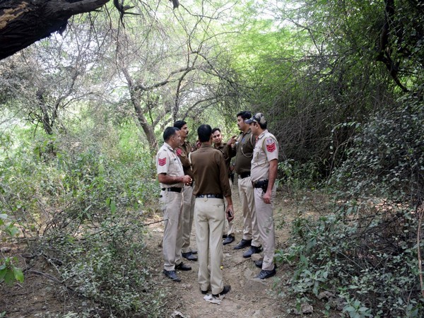Delhi Police to match Shraddha Walker's DNA samples with chopped head found elsewhere in city
