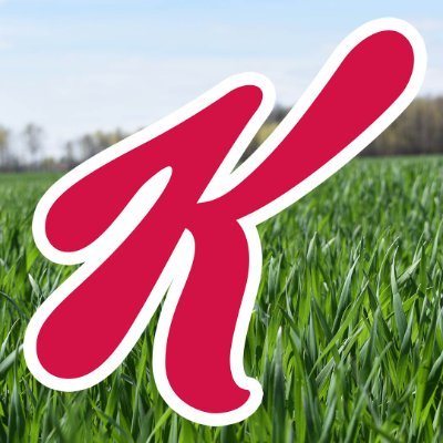 Kellogg India FY22 revenue from operations up 14% to Rs 1,332 cr