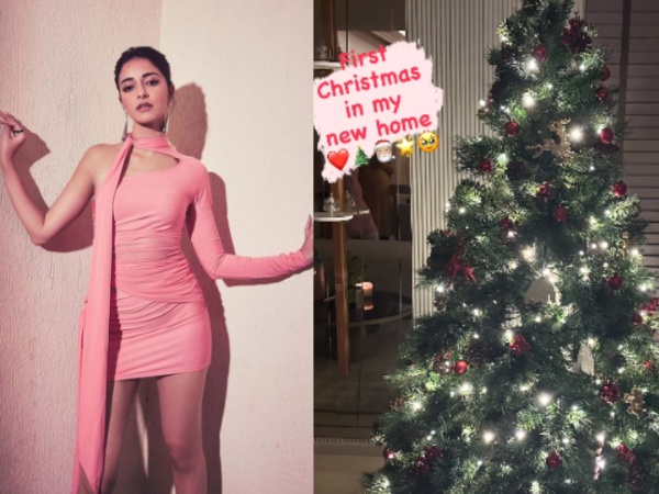 Ananya Panday gives sneak peek into her Christmas preparations