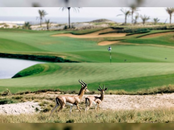 UAE's Green Tourism Revolution: Pioneering a Sustainable Future